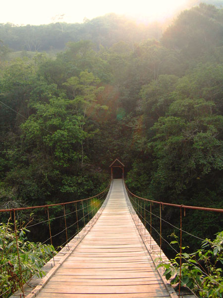 explorando la selva central peruana - Nelson Mochilero