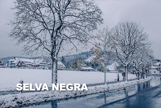 selva negra, nelson mochilero