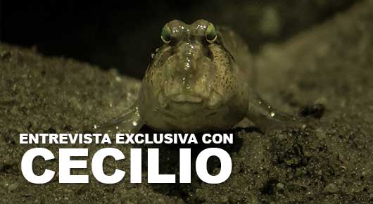entrevista mochileros