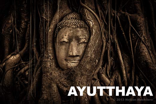 Cabeza del gran Buda en Ayutthaya Tailandia