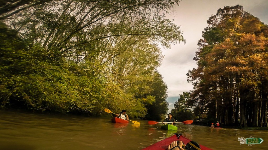Que hacer en Buenos Aires Kayak Tigre 6
