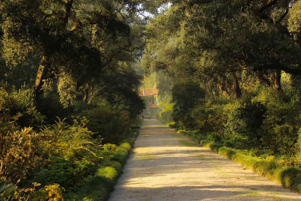 Casa jardines camino