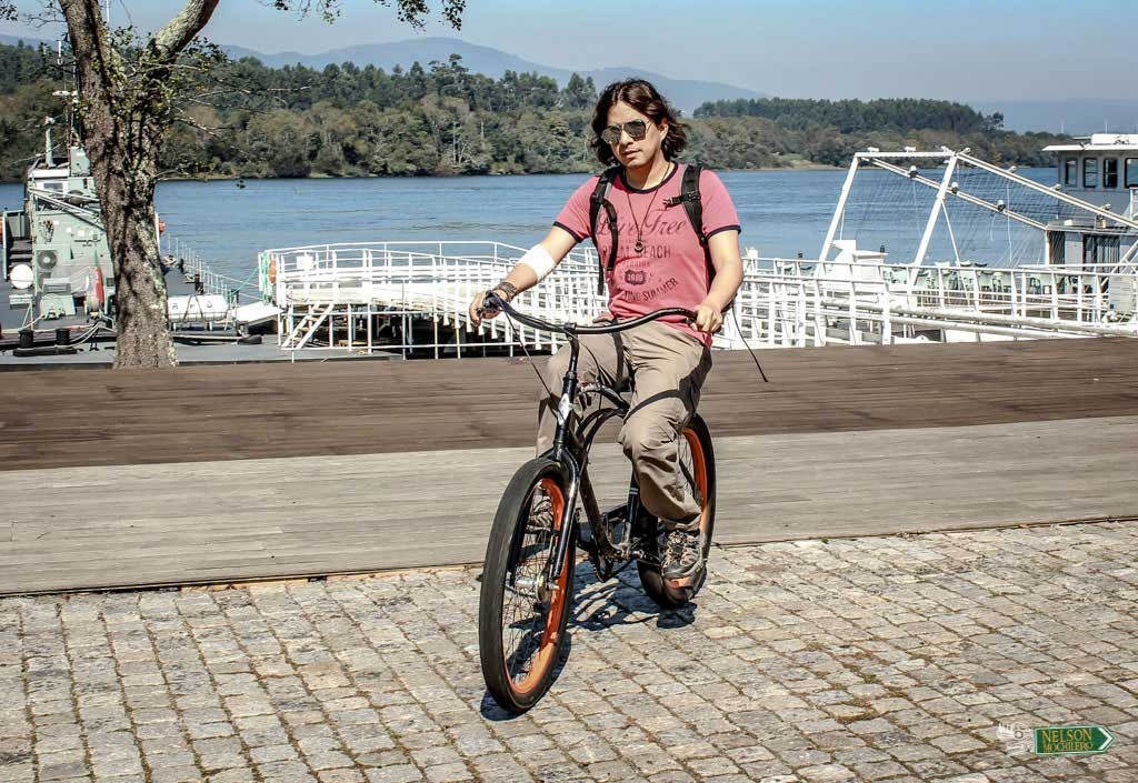 electra bike