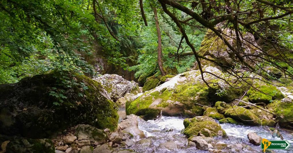 Caverna de Pazín - Pazinska Jama, Croacia - Nelson Mochilero