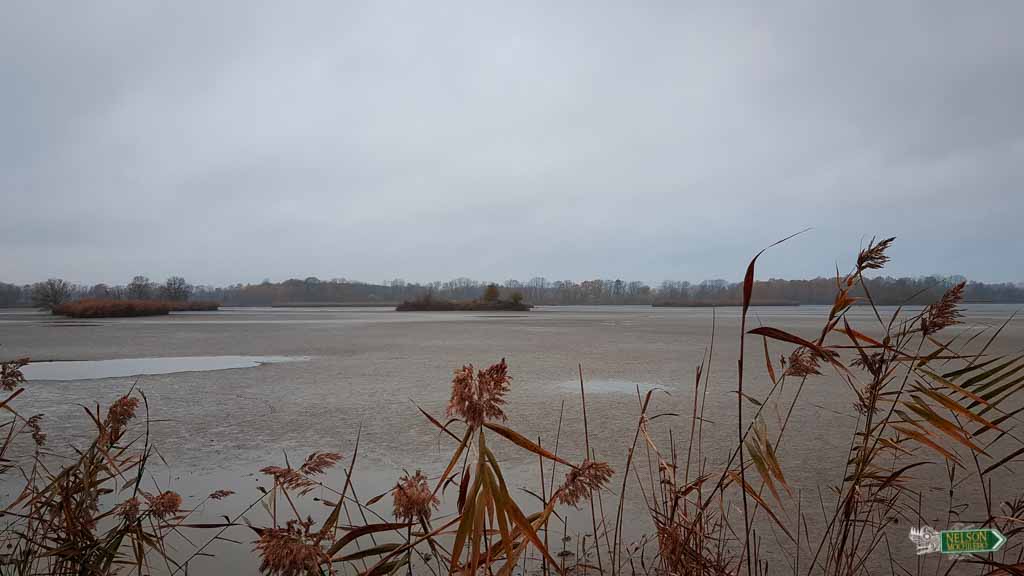 Cómo cocinar un pescado: Lago vaciado y sin agua en República Checa