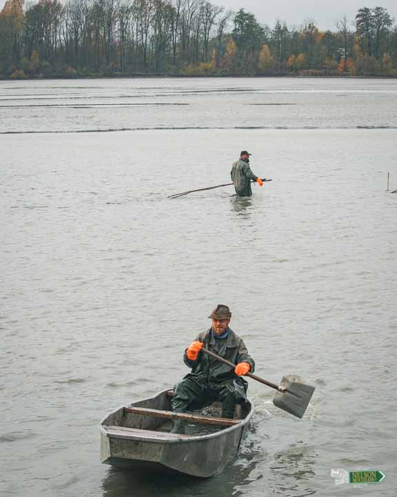 Cómo cocinar un pescado. pescadores europeos