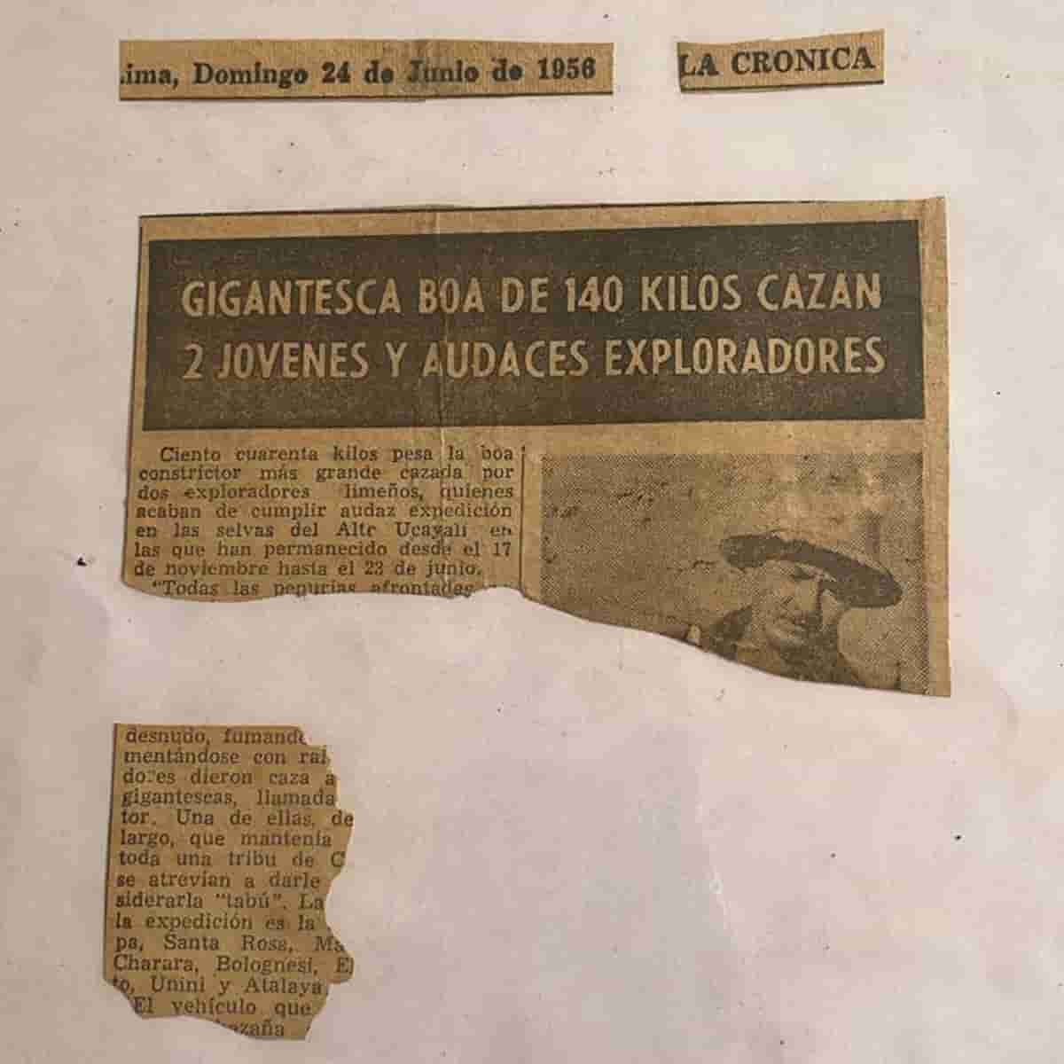 Diario La Cronica, Lima Perú - 1956 - Hilario Medina Explorador Cazador Peruano captura gigantesca boa de 140 kilos en el Alto Ucayali