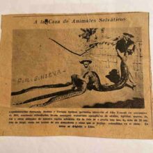 caza de gran serpiente en la selva peruana en los años 50's